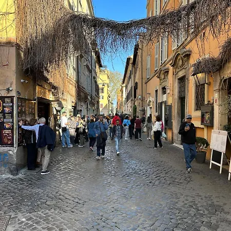 Delfini In Trastevere 罗马